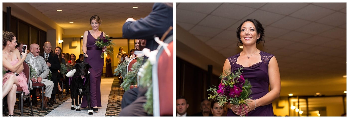 plum-winter-wedding-hawthorne-suites-champaign-il-photos_3344
