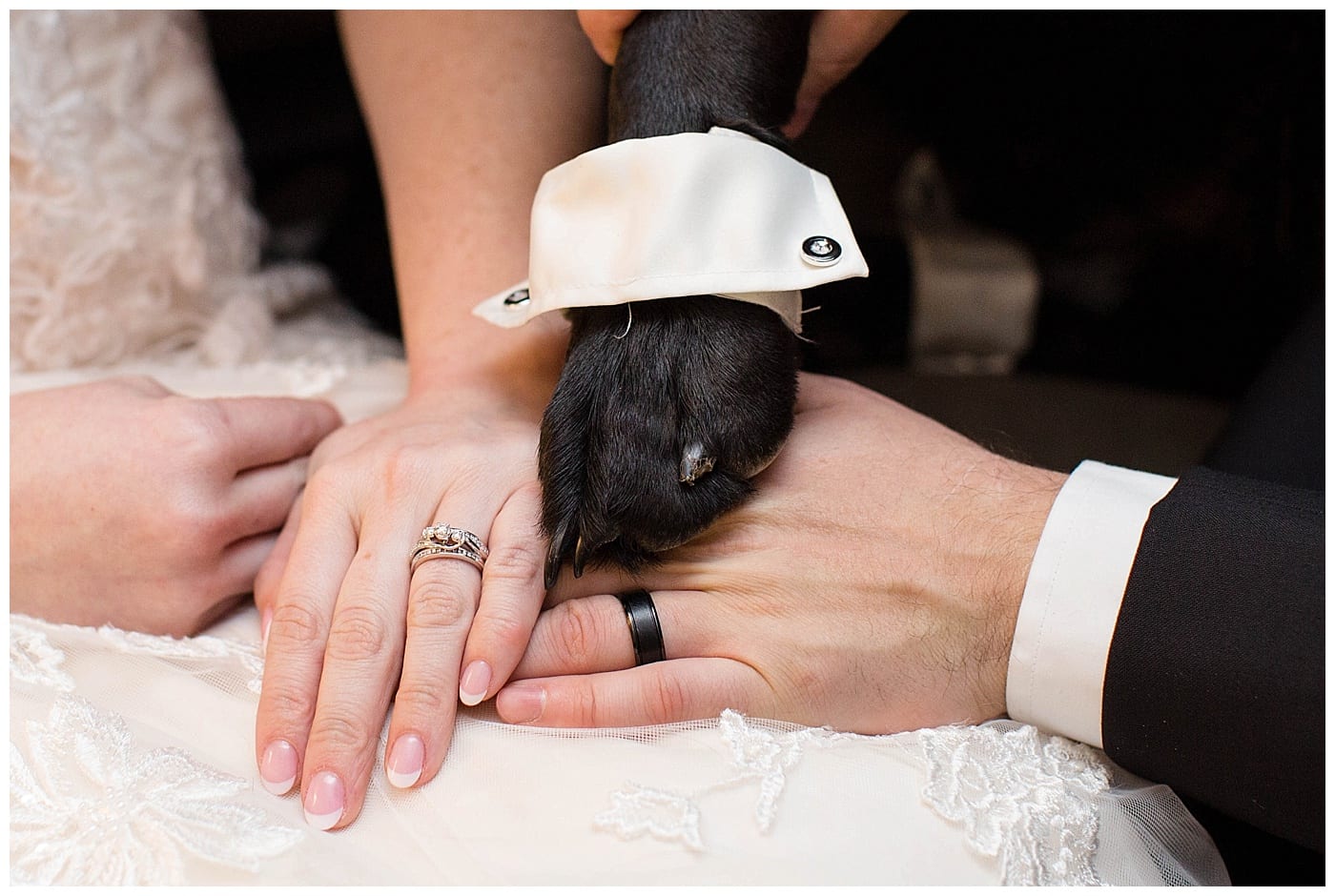 plum-winter-wedding-hawthorne-suites-champaign-il-photos_3367