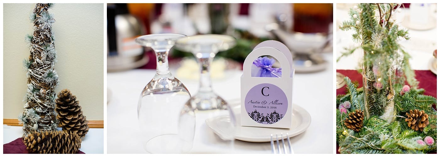 plum-winter-wedding-hawthorne-suites-champaign-il-photos_3368