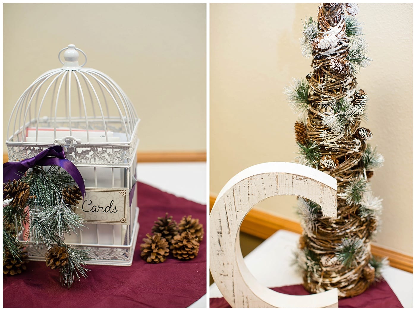 plum-winter-wedding-hawthorne-suites-champaign-il-photos_3369