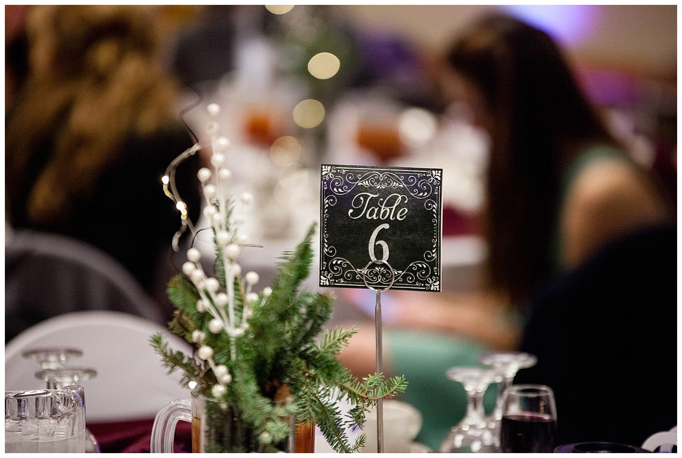 plum-winter-wedding-hawthorne-suites-champaign-il-photos_3370