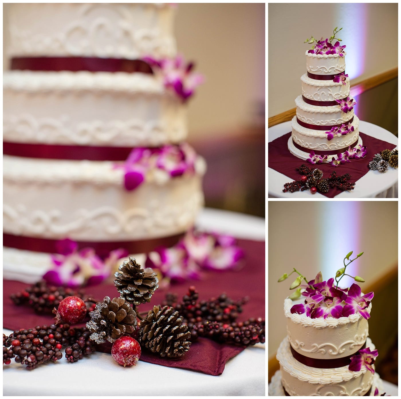plum-winter-wedding-hawthorne-suites-champaign-il-photos_3371