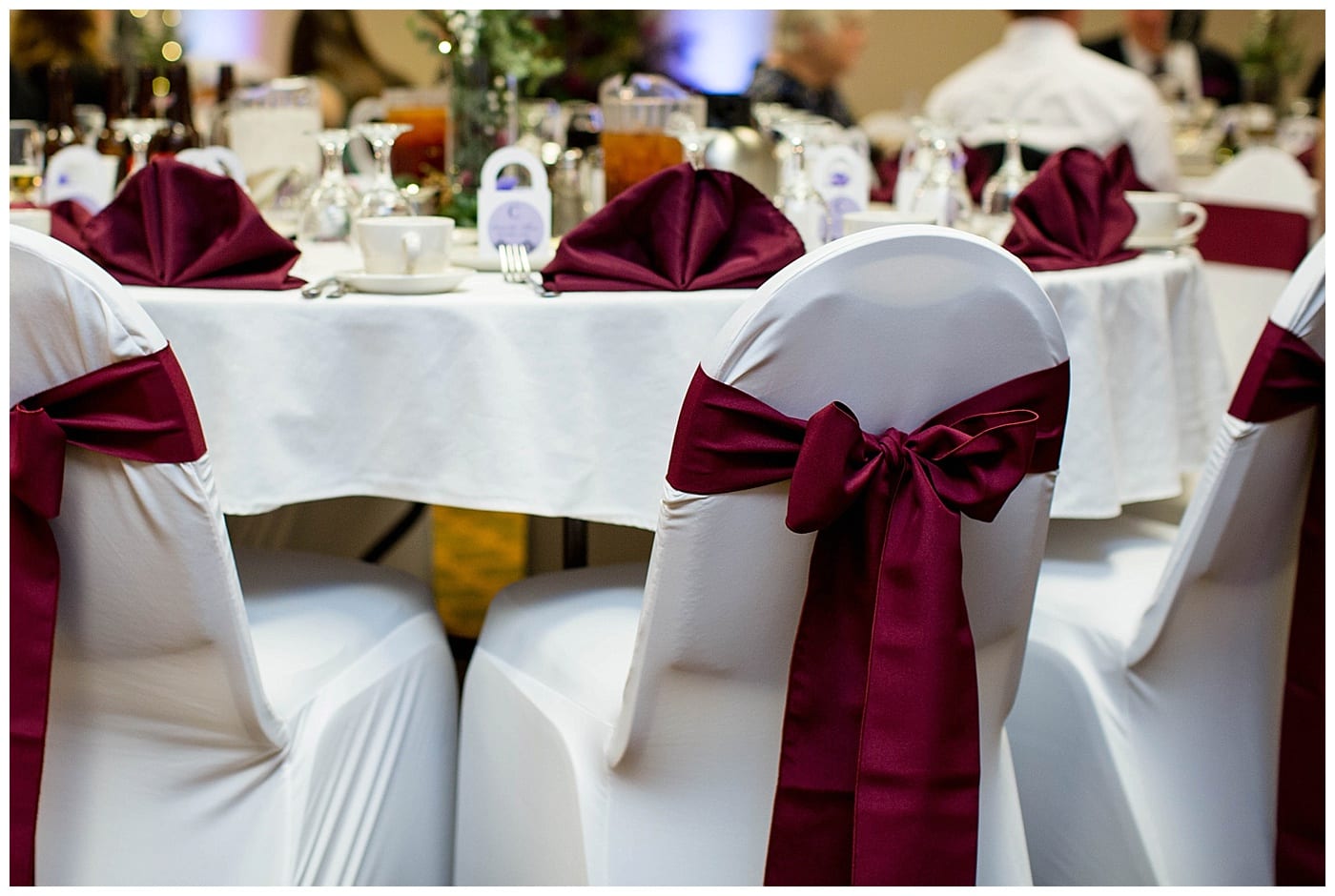 plum-winter-wedding-hawthorne-suites-champaign-il-photos_3372