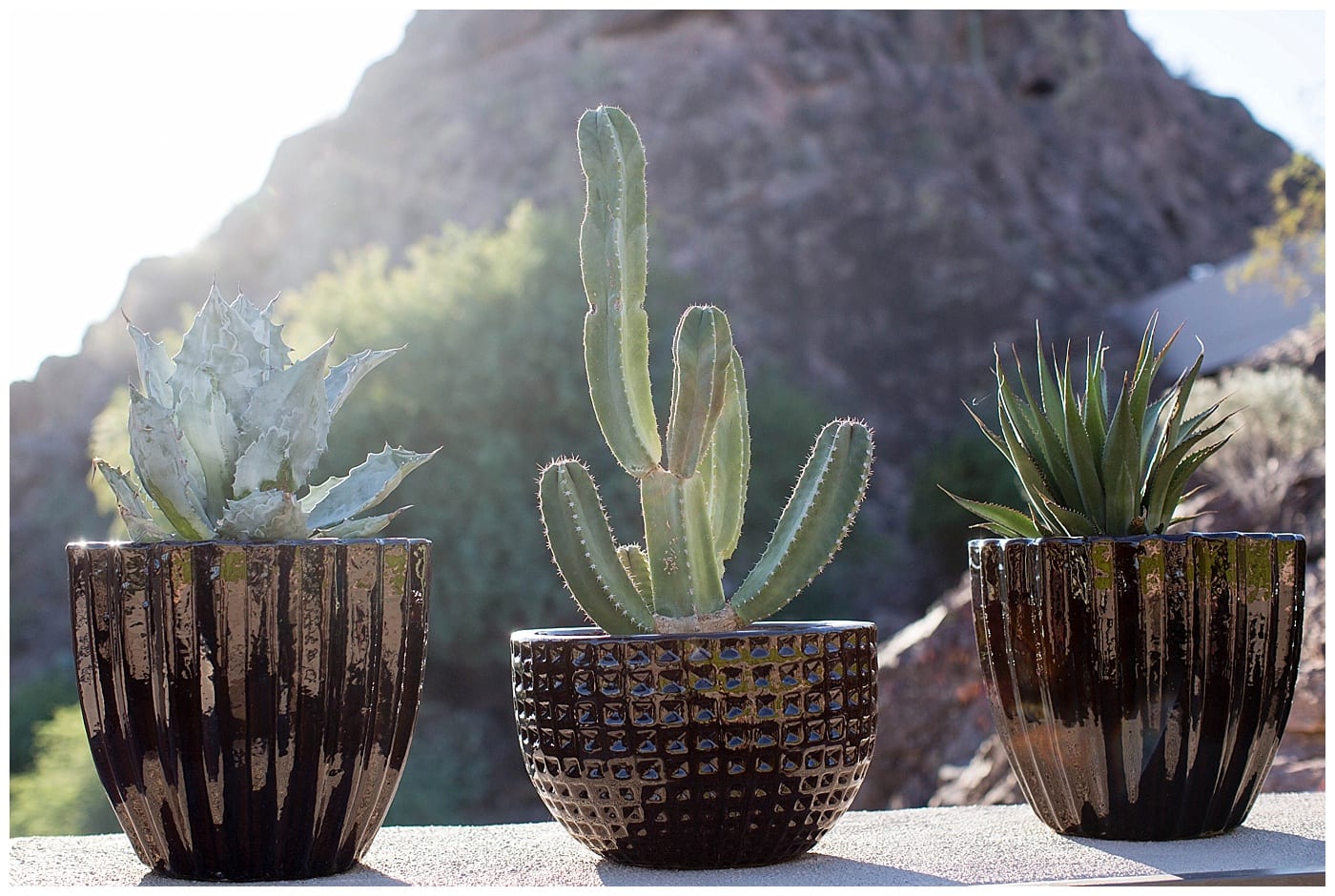 boho-anniversary-stylized-shoot-arizona-ebby-l-photography-photos_3407