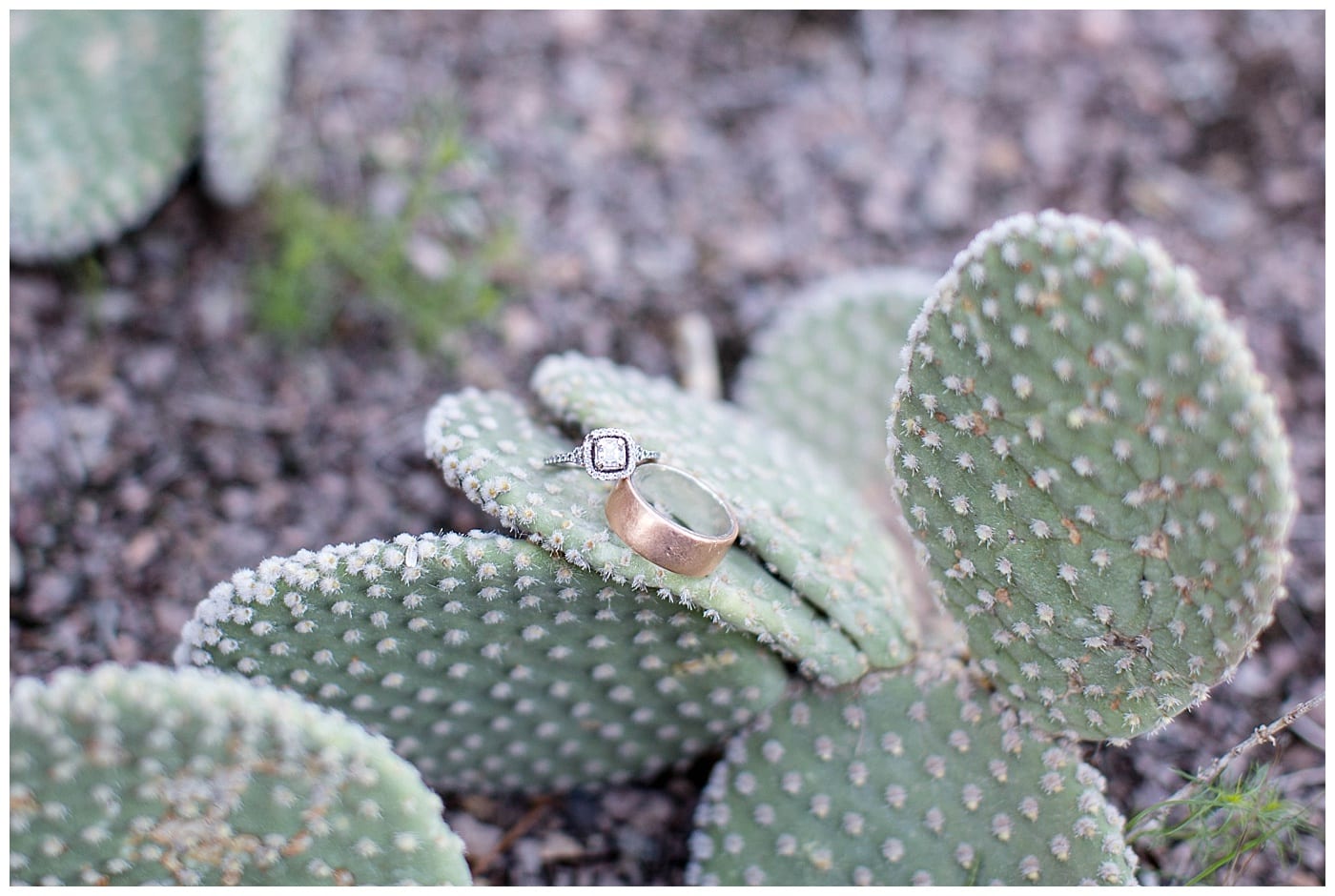 boho-anniversary-stylized-shoot-arizona-ebby-l-photography-photos_3409