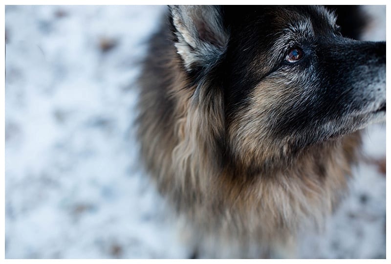 happy-holidays-ebby-l-photography-blog-photos_0212