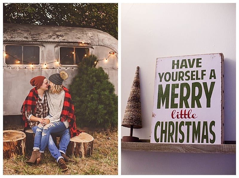 Merry Christmas & Happy Holidays 