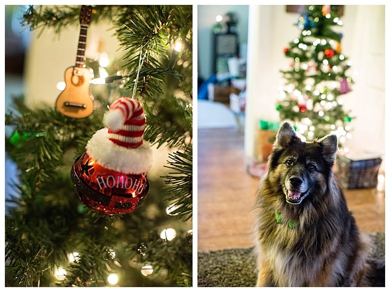 happy-holidays-ebby-l-photography-blog-photos_0214