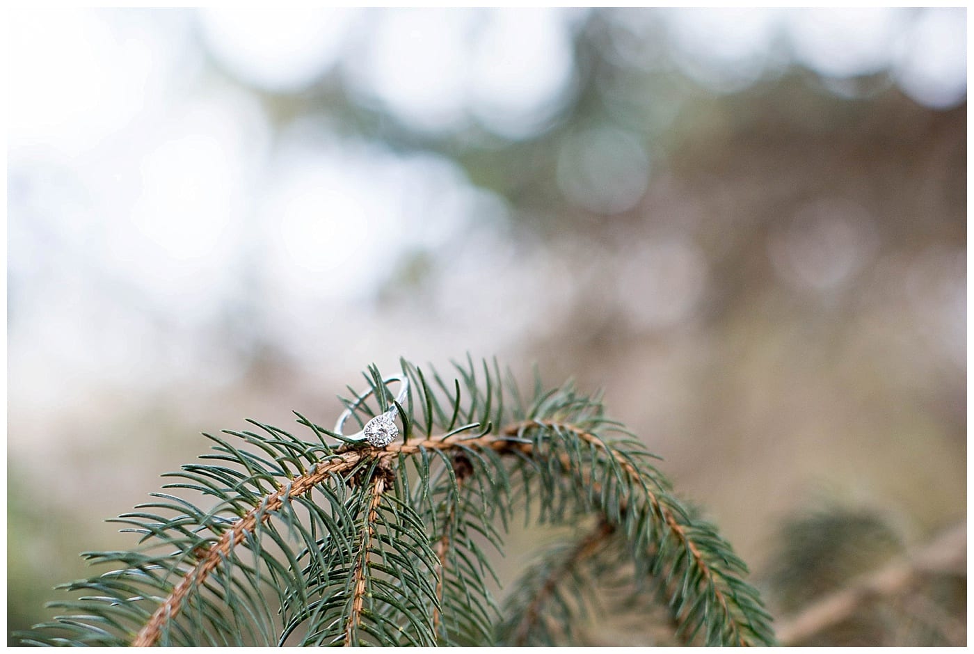 warm-winter-engagement-session-aroma-cafe-champaign-il-photos_3443
