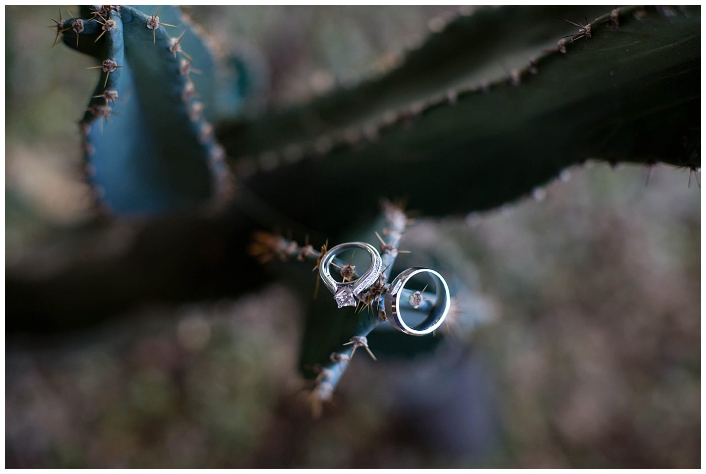 ebby-l-photography-best-of-2016-wedding-photos_4000
