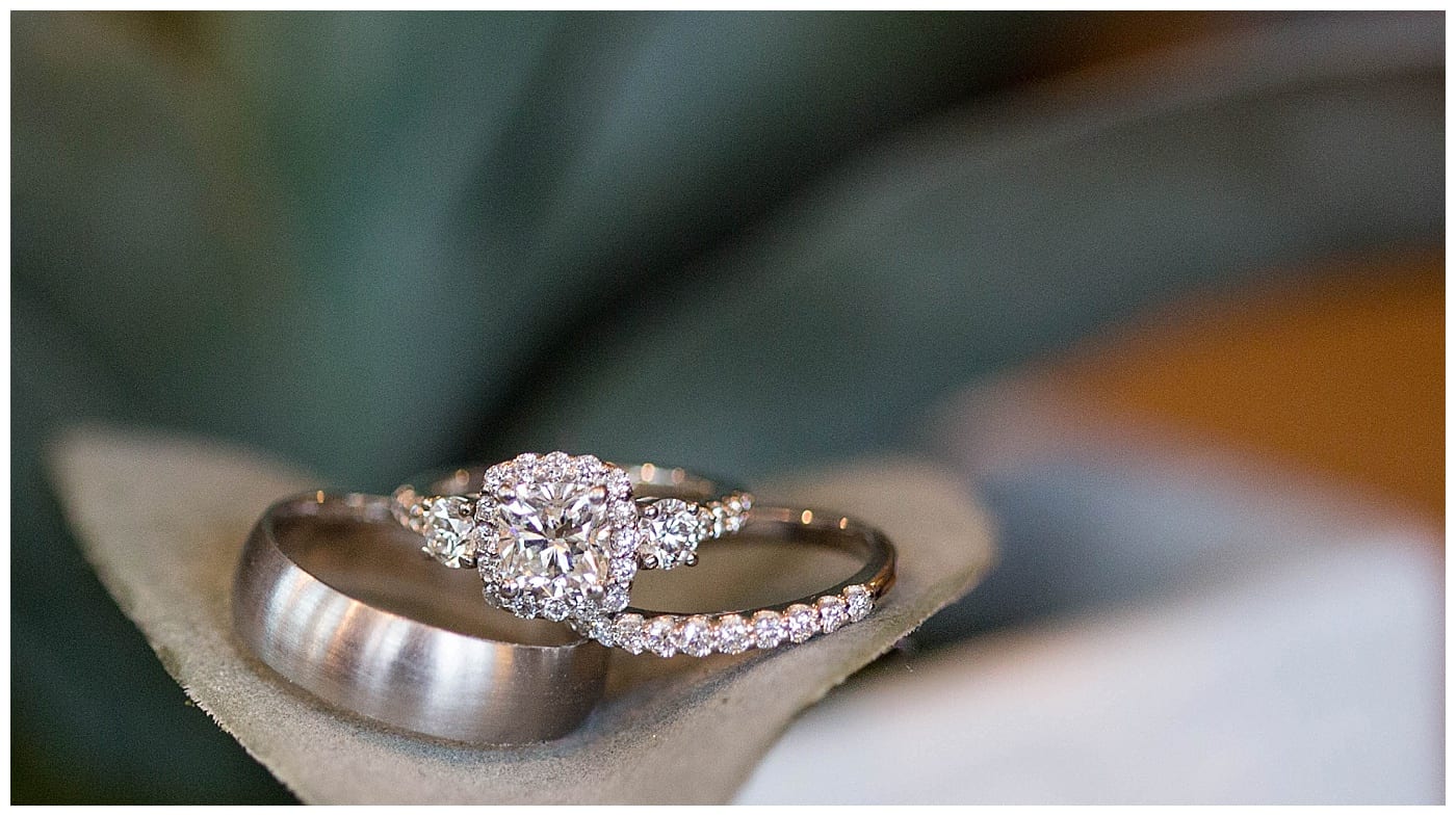 winter-wedding-pear-tree-estates-ebby-l-photography-photos_4007