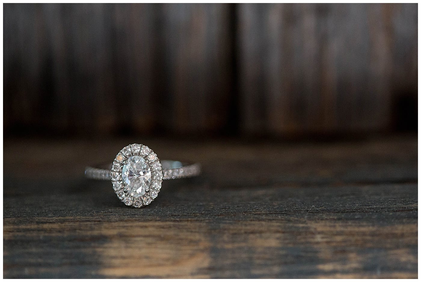 lincoln-park-engagement-chicago-il-ebby-l-photography_4263