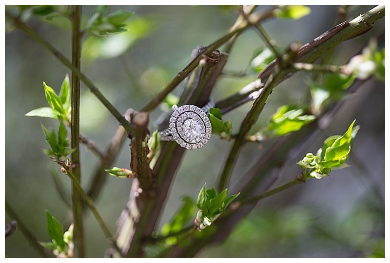 Dreamy Spring Engagement, Ebby L Photography