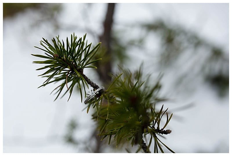 Rocky Mountain National Park Engagement, Ebby L Photography Photos