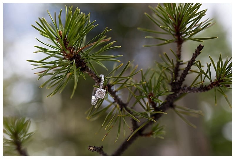 Rocky Mountain National Park Engagement, Ebby L Photography Photos