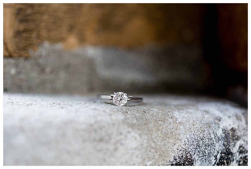 Columbus Park Refractory Engagement Ebby L Photography Photos