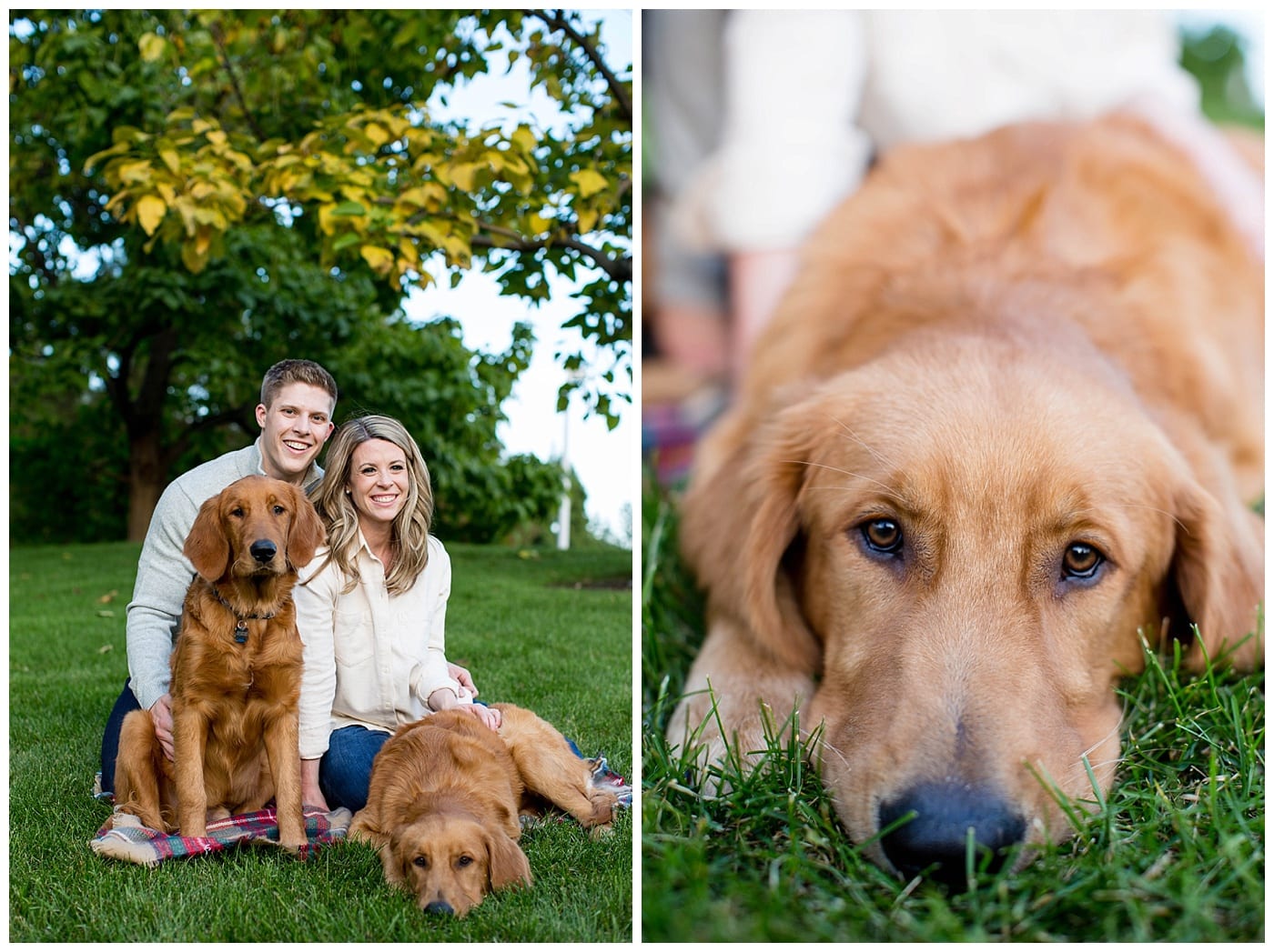 Classic Downtown Chicago Engagement Ebby L Photography Photos