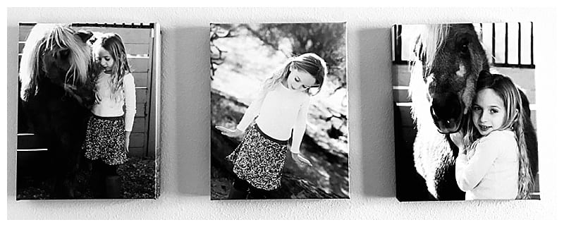 Friday Feels Ebby L Photography Photos