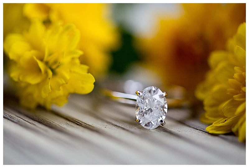 Proposal in Lake of the Woods Ebby L Photography Photos