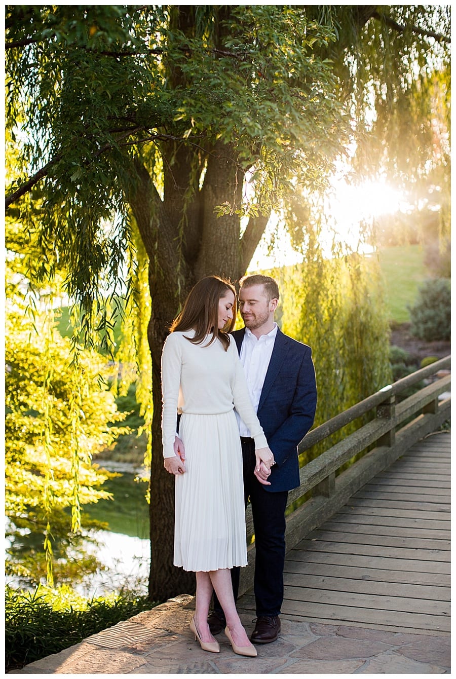 Chicago Botanic Garden Engagement Ebby L Photography Photos