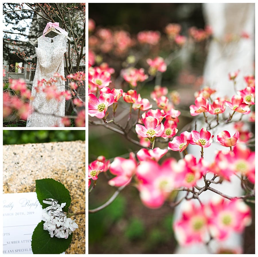 Holy Cross Catholic Church Wedding Ebby L Photography Photos
