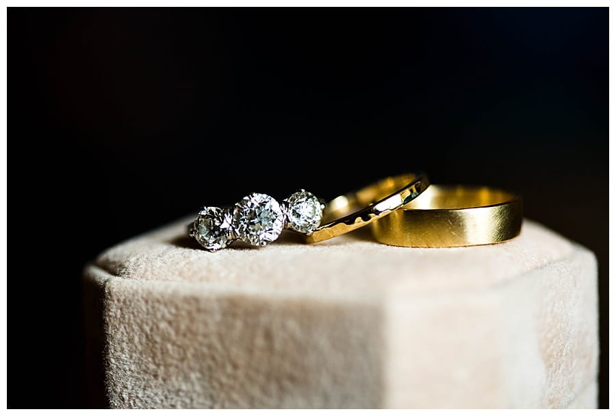 Intimate Lincoln Park Wedding Chicago IL Ebby L Photography Photos
