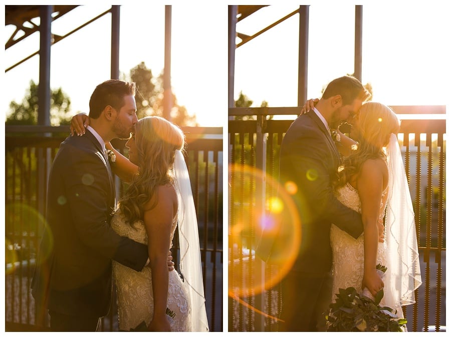 The Haight Wedding Elgin Ebby L Photography Photos