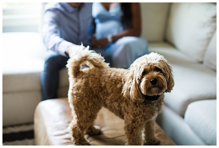Chicago-Maternity-Session-Ebby-L-Photography-Photos